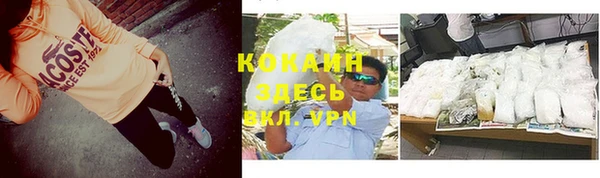 крисы Верея