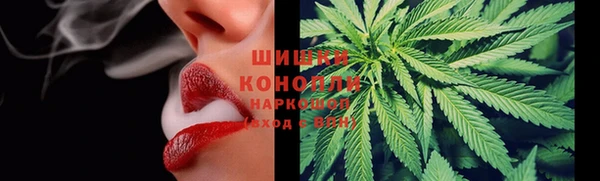 крисы Верея