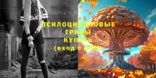 крисы Верея
