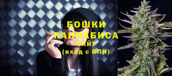 крисы Верея